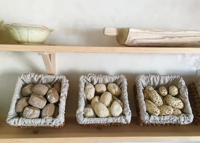 The Saints Suites Bed & Breakfast